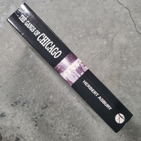 The Gangs of Chicago by Herbert Asbury (paperback book) - Picture 5 of 7